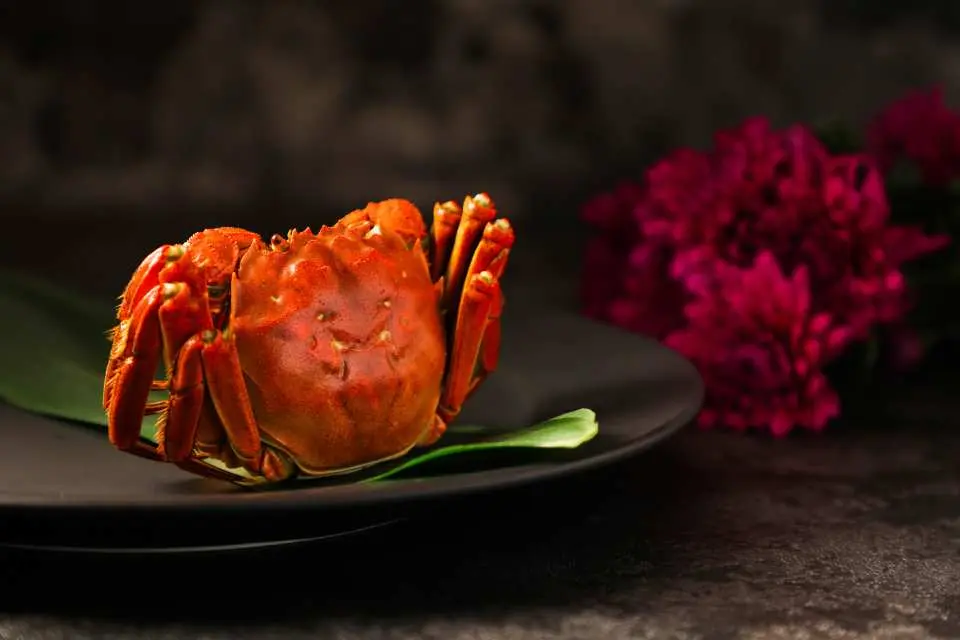 陶源酒家｜2小時任食大閘蟹&片皮鴨放題｜鮑汁扣原隻鮑魚伴椎茸｜蟹粉瀑布搭配 上海麵、窩巴、手抓餅｜蟹肉椰菜粉絲｜午、晚市堂食